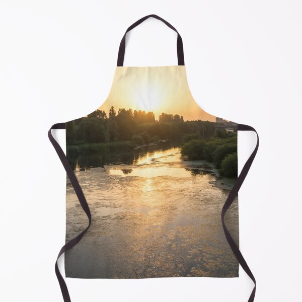 Item preview, Brilliant Serendipity - Sunrise Seagull over Maritsa River in Plovdiv Bulgaria designed and sold by Georgia Mizuleva.