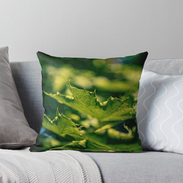 Item preview, Hojas cayendo designed and sold by MaxMediaPhoto.