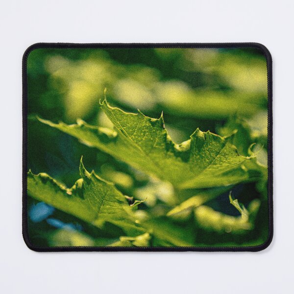 Item preview, Falling Leaves designed and sold by MaxMediaPhoto.