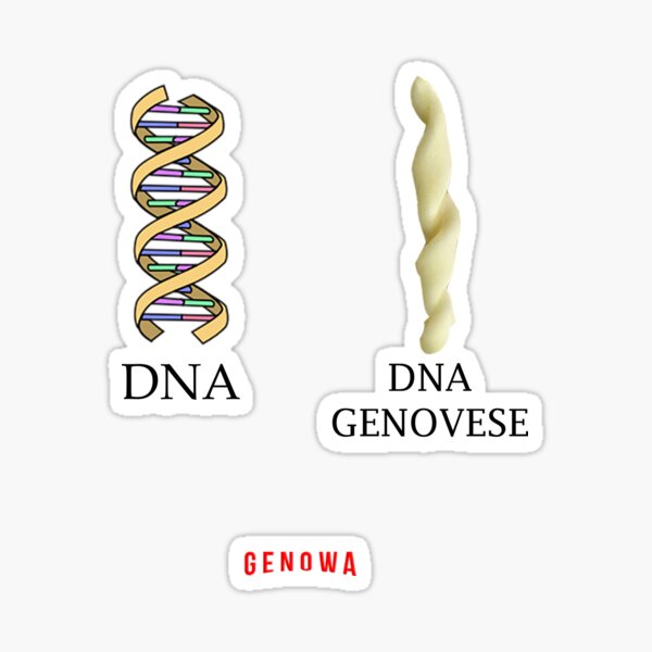 Item preview, DNA GENOVESE designed and sold by Genowa.