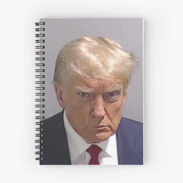 Artikelvorschau, Donald Trump-Fahndungsfoto-T-Shirt entworfen und verkauft von dragonspine.
