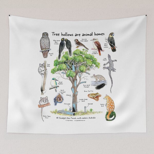 Item preview, Tree hollows are animal homes: #1 (simplified design) designed and sold by Paula Peeters.