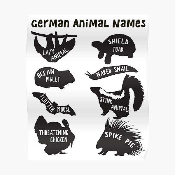 Animal Name List Posters Redbubble