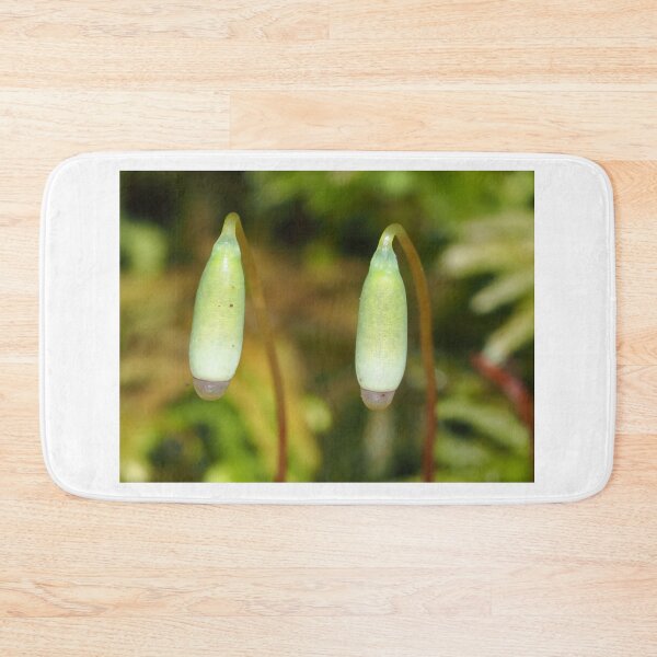 Item preview, Moss sporophytes macro shot designed and sold by SDym Photography.