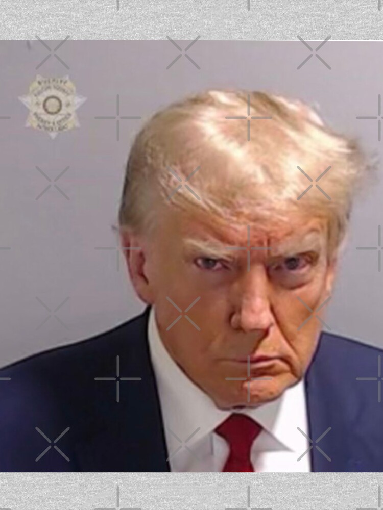 Thumbnail 5 of 5, Pullover Hoodie, Trump Mugshot Shirt designed and sold by The-Smoke-Shed.