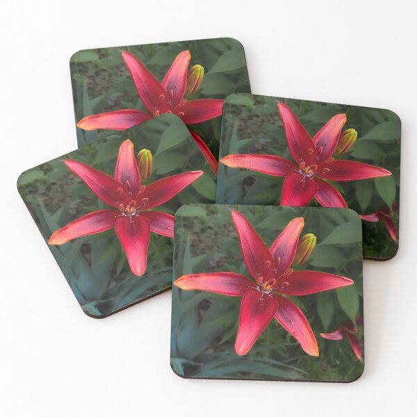 Item preview, Siberian Lily designed and sold by rose-waterhause.