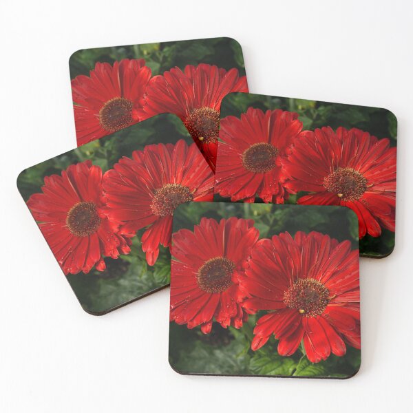 Item preview, The Glorious Red Duo - Two Scarlet Gerbera Daisies  designed and sold by Georgia Mizuleva.