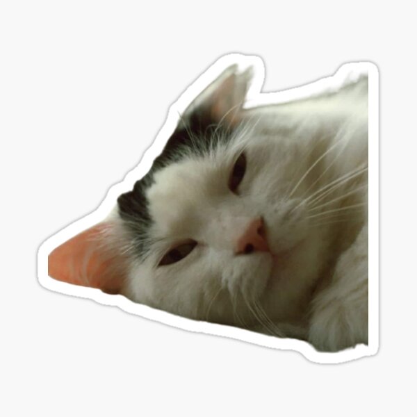 cat rob lox handsome face meme cute Sticker for Sale by aartleena