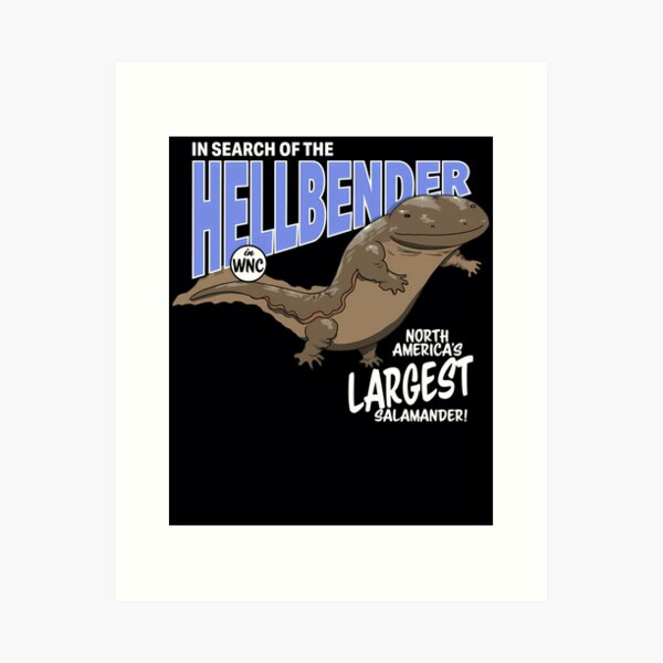 Hellbender Art Prints for Sale