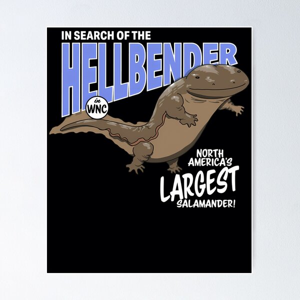 Hellbender Posters for Sale
