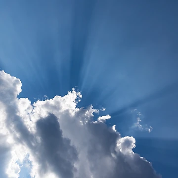 Artwork thumbnail, God Rays by Georgia Mizuleva
