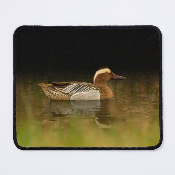 Item preview, Garganey  designed and sold by Guardi71.