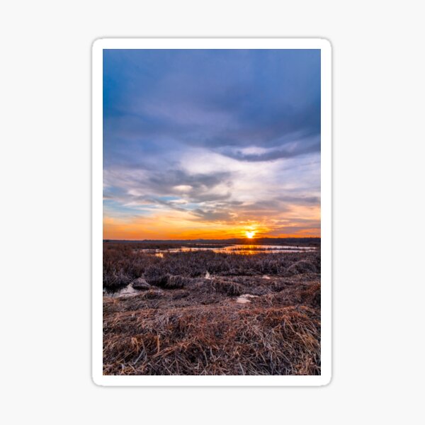Sunset at Liberty Loop marsh, portrait Sticker