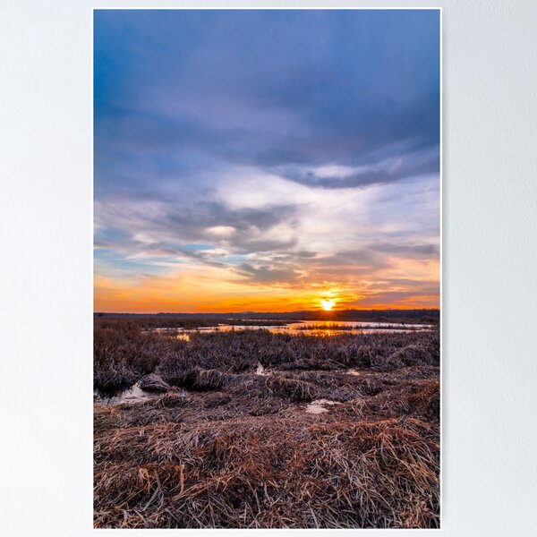 Item preview, Sunset at Liberty Loop marsh, portrait designed and sold by Rabbitti.