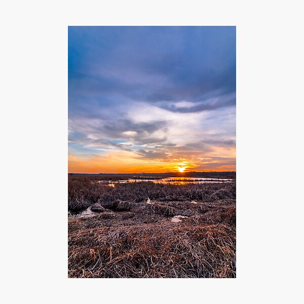 Item preview, Sunset at Liberty Loop marsh, portrait designed and sold by Rabbitti.
