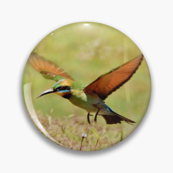 Item preview, Rainbow Bee-eater in flight designed and sold by Mark Grimsley.