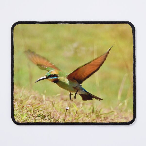 Item preview, Rainbow Bee-eater in flight designed and sold by Mark Grimsley.