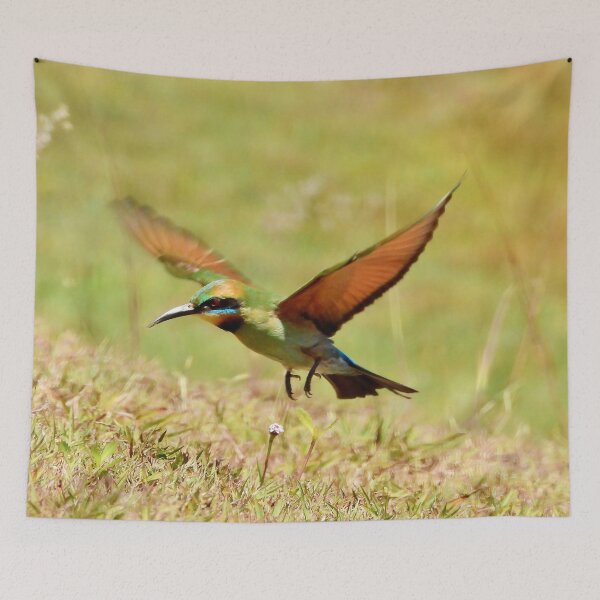 Item preview, Rainbow Bee-eater in flight designed and sold by Mark Grimsley.