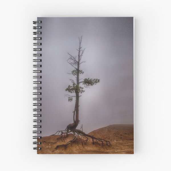 Item preview, Tree  in the Fog designed and sold by Kathy Weaver.