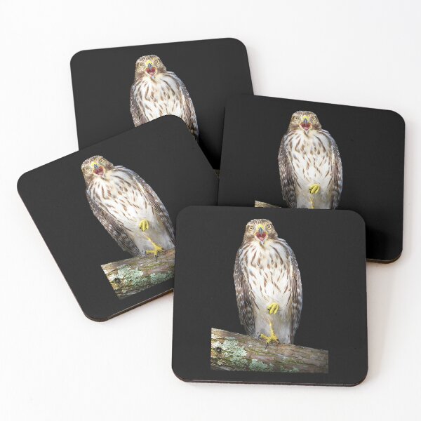 Item preview, song of the hawk mark andrew thomas transparent	 designed and sold by ochfpkenbor17.