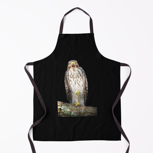 Item preview, song of the hawk mark andrew thomas transparent designed and sold by ochfpkenbor17.
