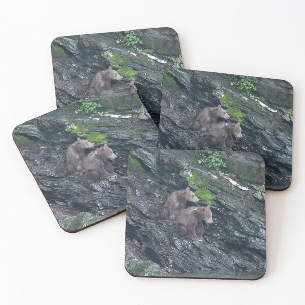 Item preview, Kodiak Cubs Sitting designed and sold by EaglemasterArts.