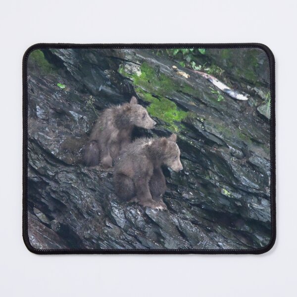 Item preview, Kodiak Cubs Sitting designed and sold by EaglemasterArts.