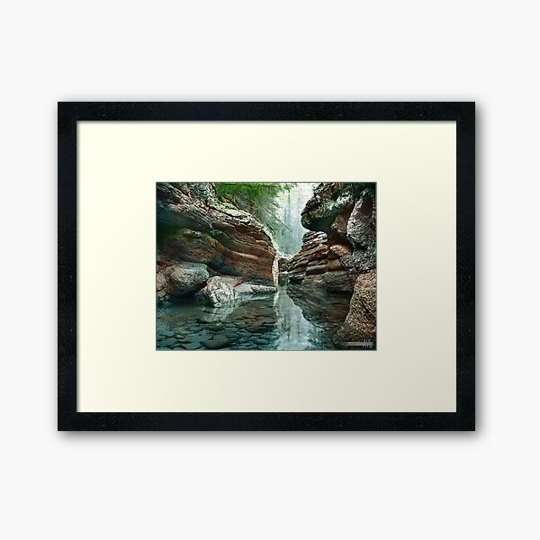 Item preview, John Sexton, Merced River and Forest, Yosemite Valley, CA designed and sold by lexmil.