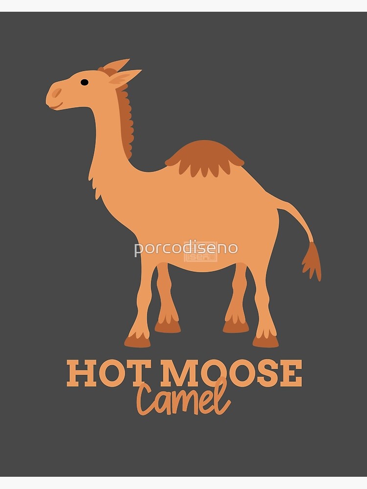 Funny Animal Name Meme Hot Moose CAMEL | Art Board Print