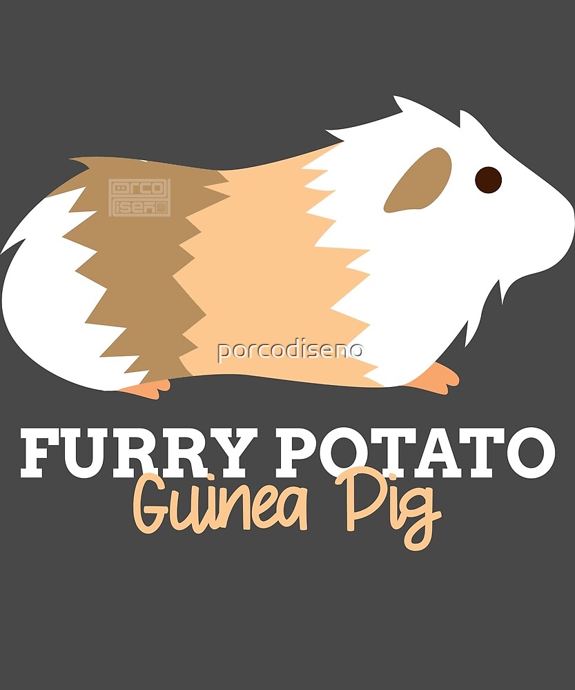 Funny Animal Name Meme Furry Potato GUINEA PIG By Porcodiseno
