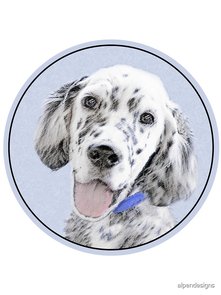 English Setter (Blue Belton)