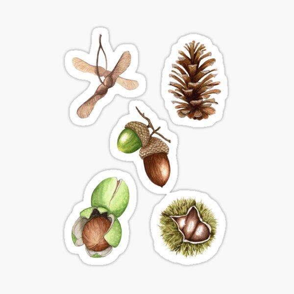 Item preview, Autumn Seeds Pack designed and sold by LauraLArt.