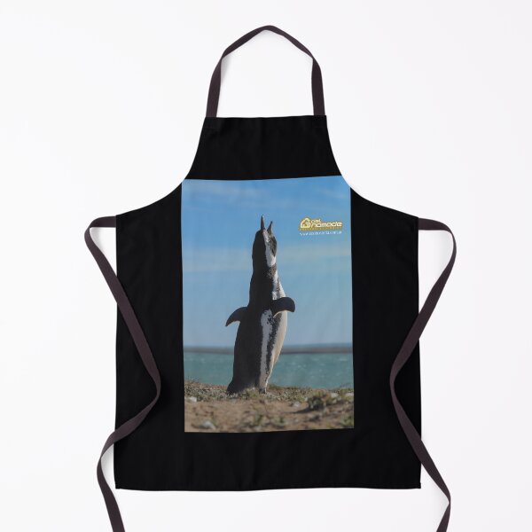 Item preview, Penguin in Peninsula Valdes - Patagonia Argentina designed and sold by qdpjaaab29.