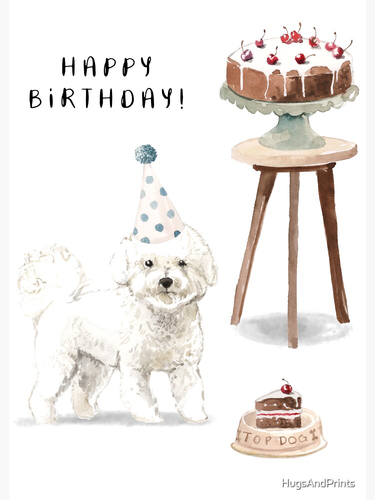 Bichon 2024 frise cake