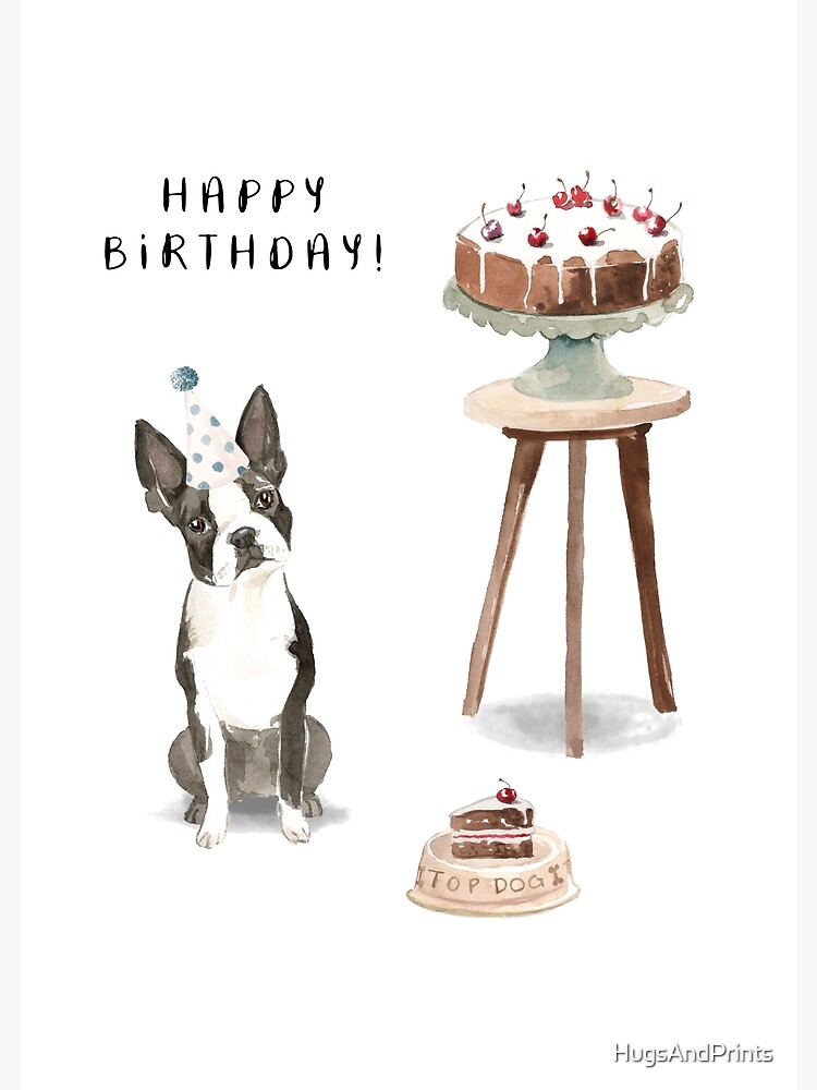Boston Terrier with Cake Happy Birthday
