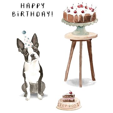 Boston Terrier with Cake Happy Birthday