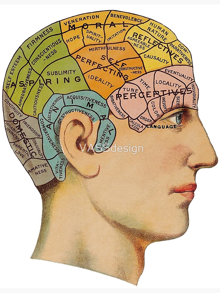 "Phrenology Chart" Poster for Sale by VASSdesign Redbubble