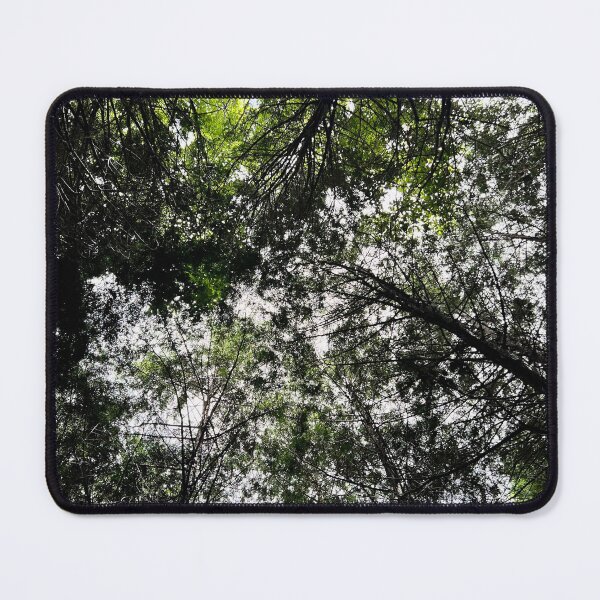 Item preview, Forest light designed and sold by seunghus.