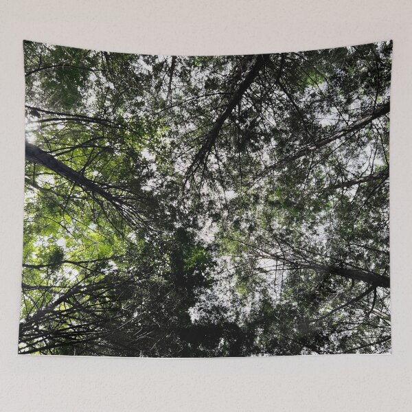 Item preview, Forest light designed and sold by seunghus.