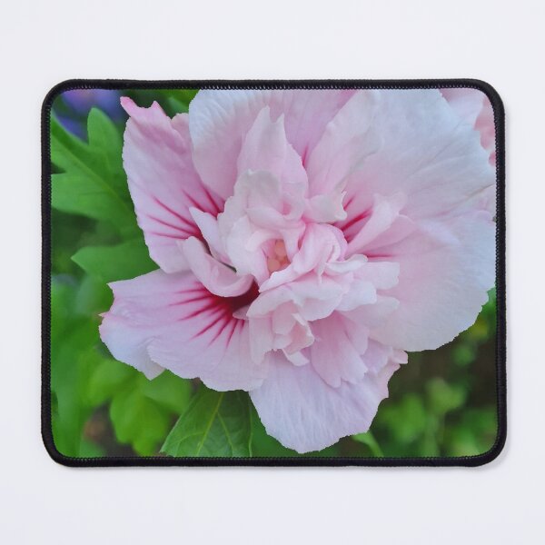 Item preview, A rose designed and sold by rich-jam.