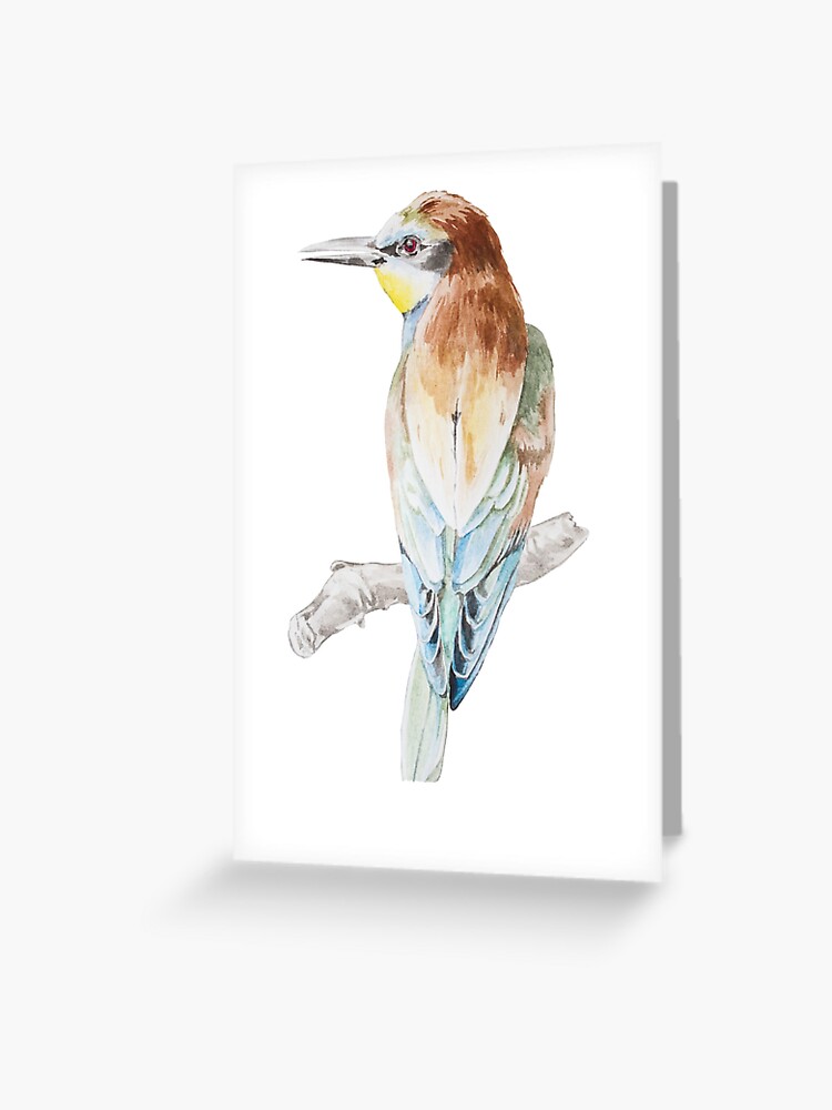 Watercolor European Bee-eater Bird Pattern Greeting Card for Sale by  mariapirogova