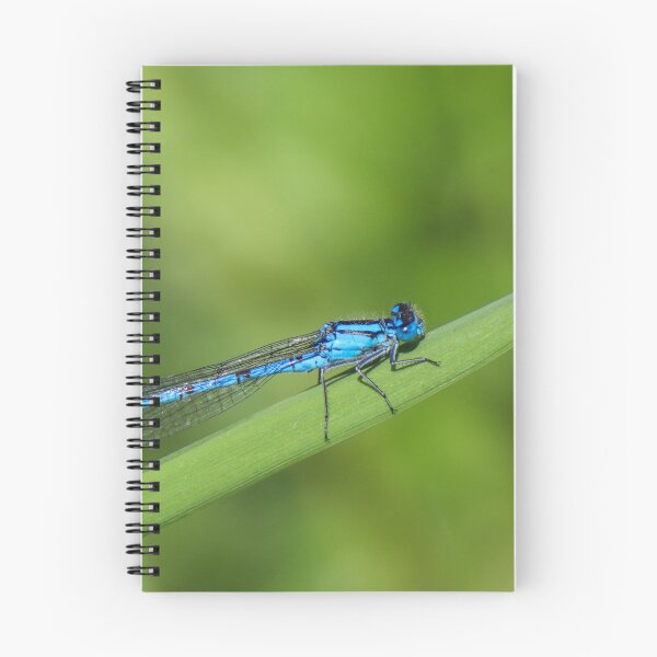 Item preview, Damselfly designed and sold by Northern Pix.