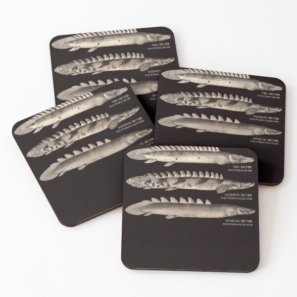 Artikelvorschau, Bichir Typen Polypterus Aqaurium Monster Fischhalter Retro Vintage Aquarianer entworfen und verkauft von ANGELREYNOLS.