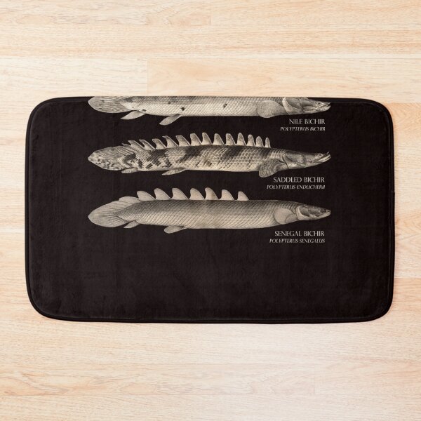 Artikelvorschau, Bichir Typen Polypterus Aqaurium Monster Fischhalter Retro Vintage Aquarianer entworfen und verkauft von ANGELREYNOLS.