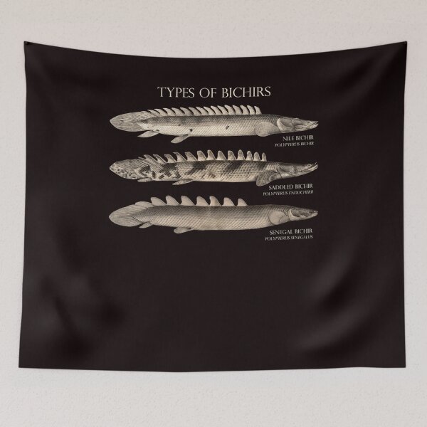 Artikelvorschau, Bichir Typen Polypterus Aqaurium Monster Fischhalter Retro Vintage Aquarianer entworfen und verkauft von ANGELREYNOLS.