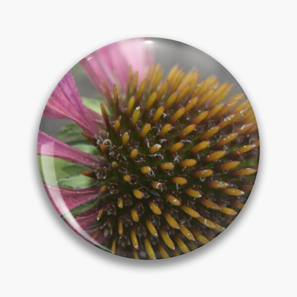 Item preview, Coneflower  designed and sold by Tonia Delozier's Photography .