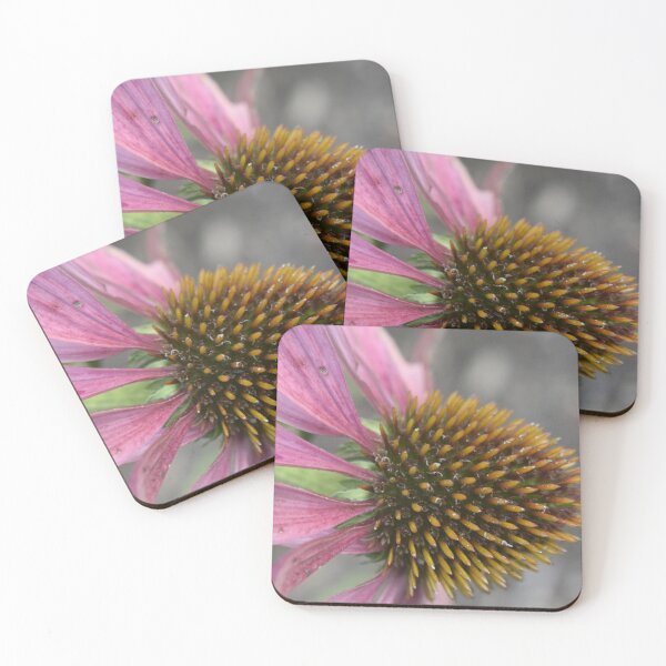 Item preview, Coneflower  designed and sold by Tonia Delozier's Photography .