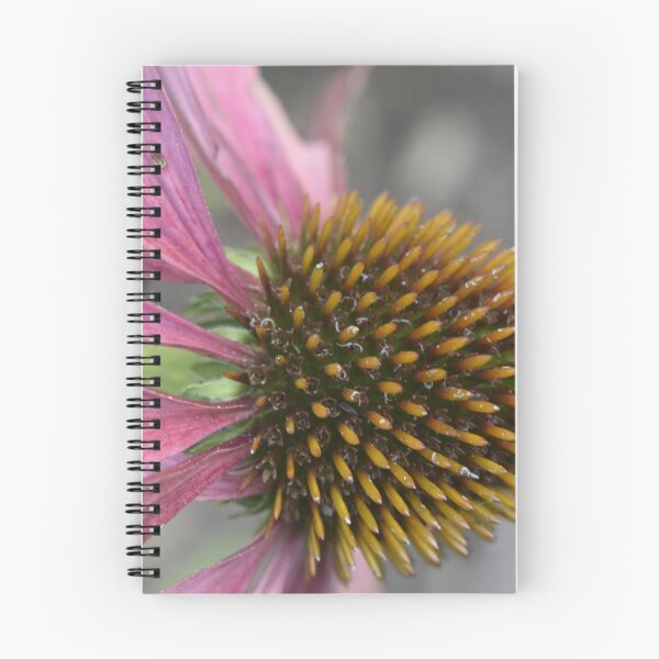 Item preview, Coneflower  designed and sold by Tonia Delozier's Photography .