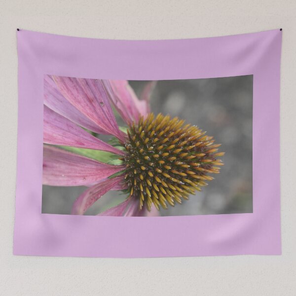 Item preview, Coneflower  designed and sold by Tonia Delozier's Photography .