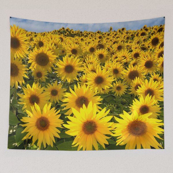 Item preview, Backlit Yellow Sunflowers designed and sold by Martyn R Arnold Fine Art Nature & Landscape Photography.
